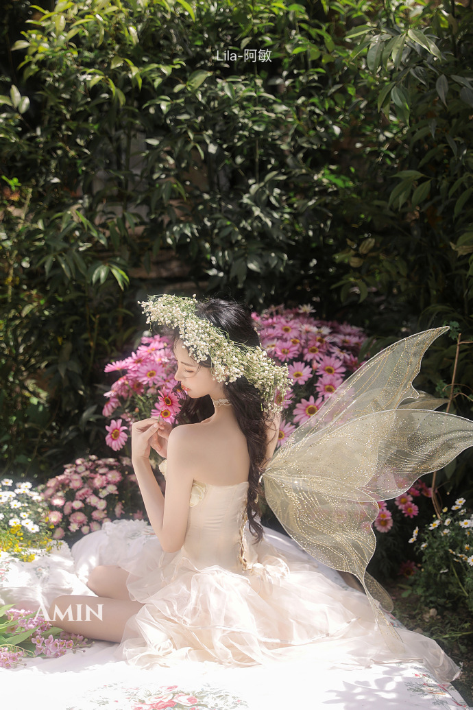 白莲花度假村 封面